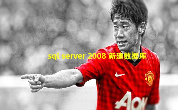 sql server 2008 新建数据库